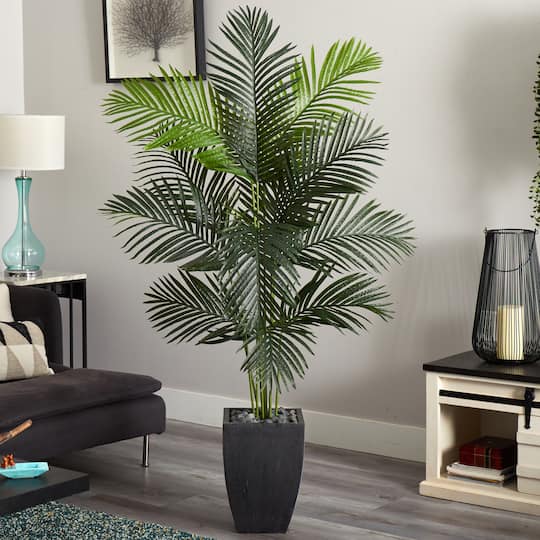 5.5ft. Paradise Artificial Palm Tree in Black Planter